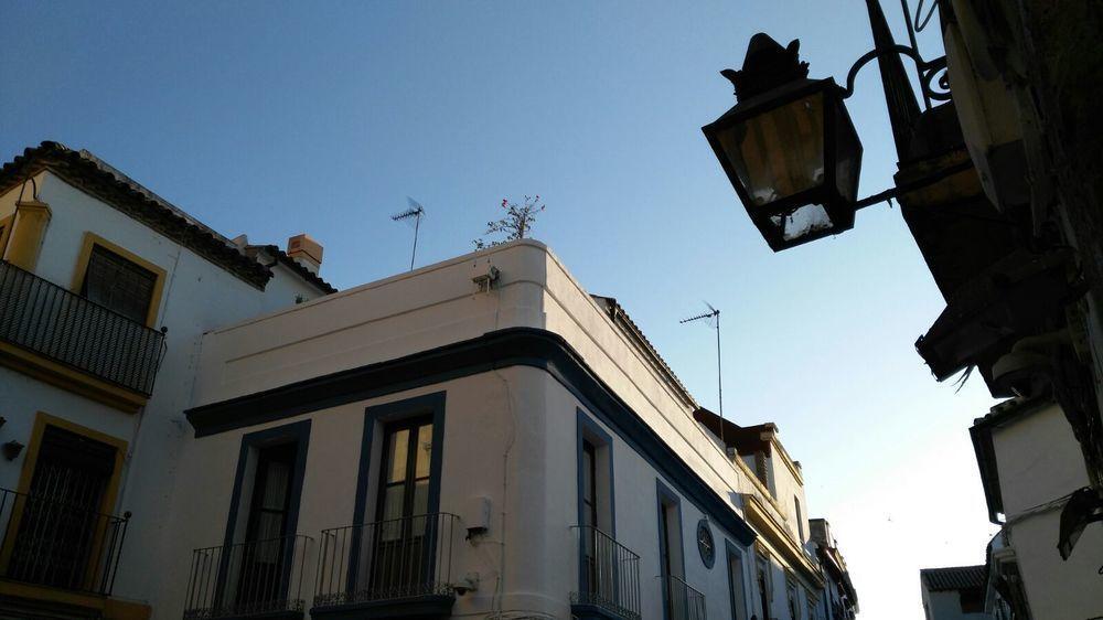 Hostal Azahar Kordoba Bagian luar foto